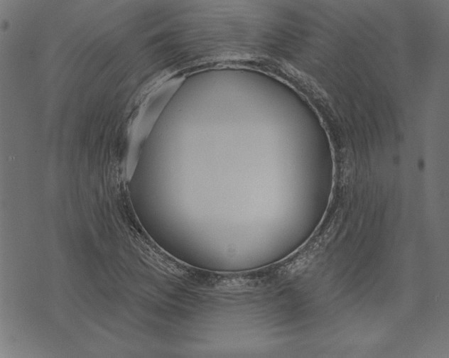 X0000073481169200608211617