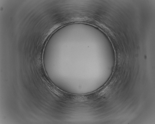 X0000073481170200608211617