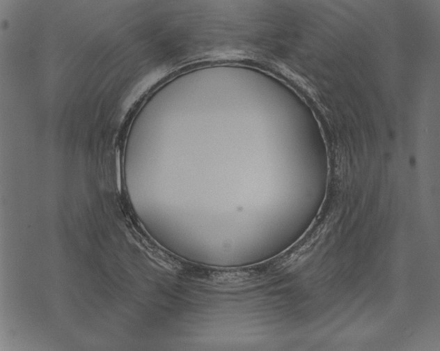 X0000073481171200608211617