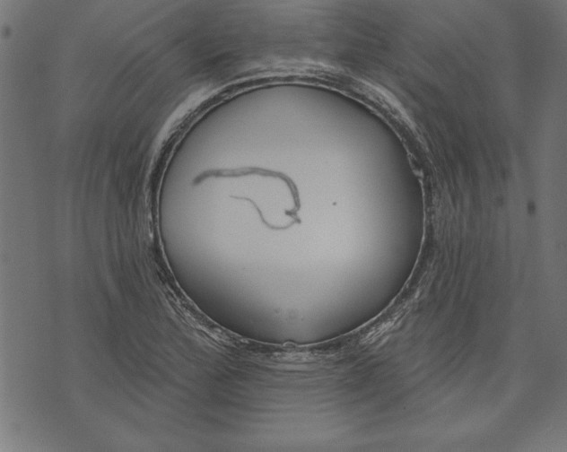 X0000073481172200608211617