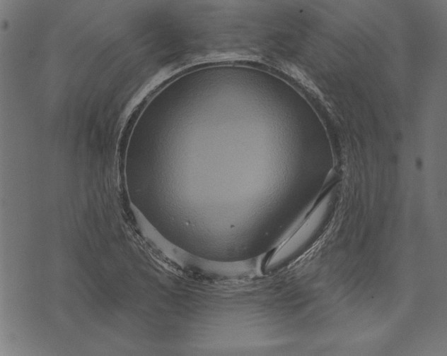 X0000073481173200608211617