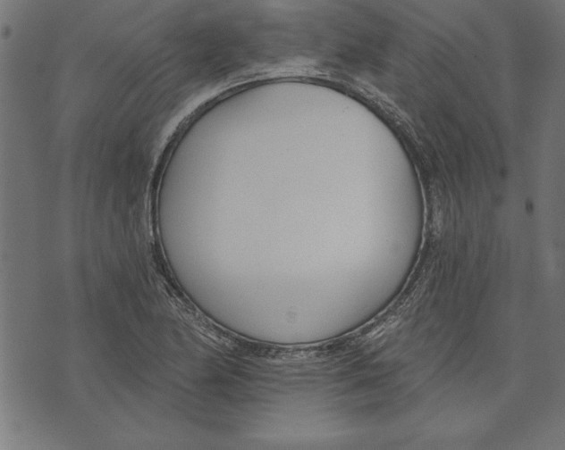 X0000073481174200608211617