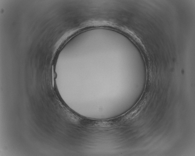 X0000073481175200608211617