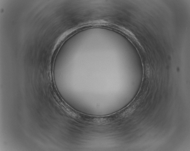 X0000073481176200608211617