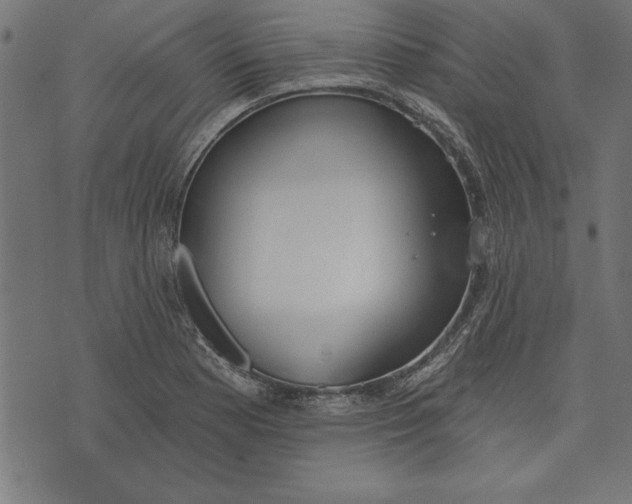 X0000073481177200608211617