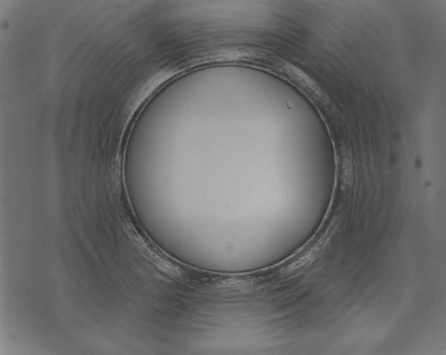 X0000073481178200608211617