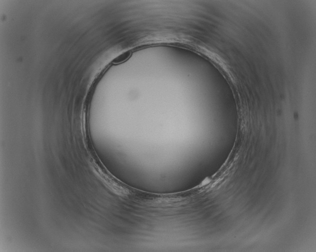 X0000073481179200608211617