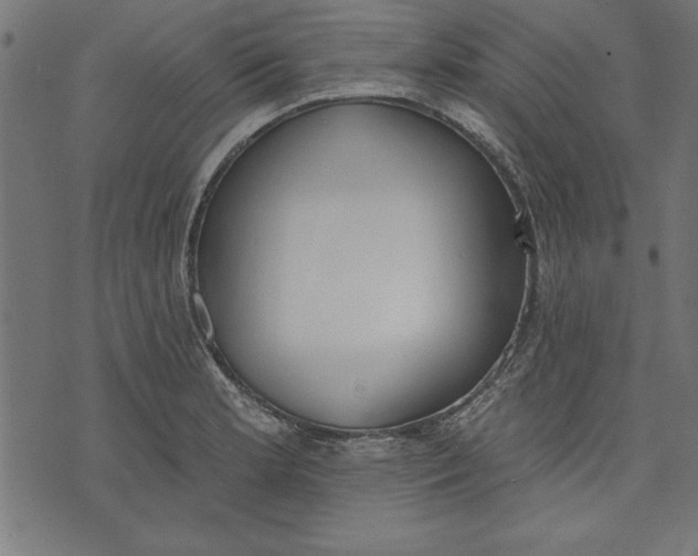 X0000073481181200608211617