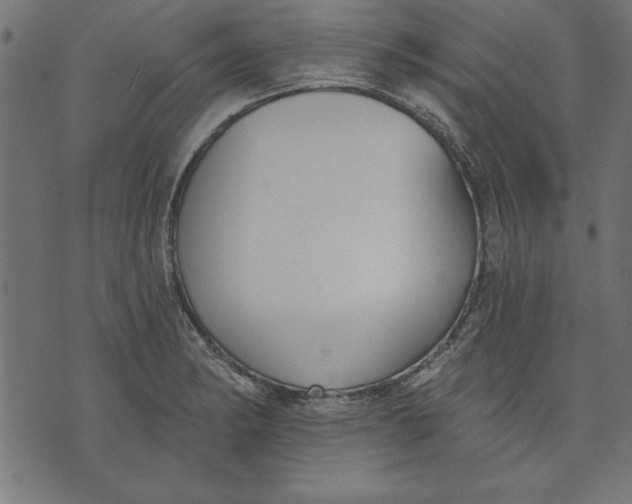 X0000073481182200608211617