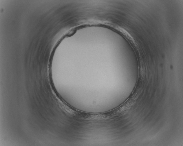 X0000073481183200608211617