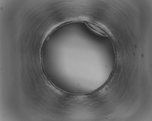 X0000073481184200608211617