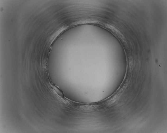 X0000073481185200608211617