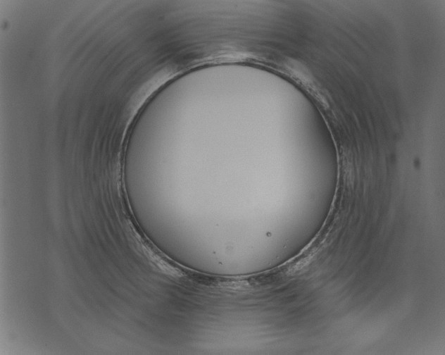 X0000073481186200608211617