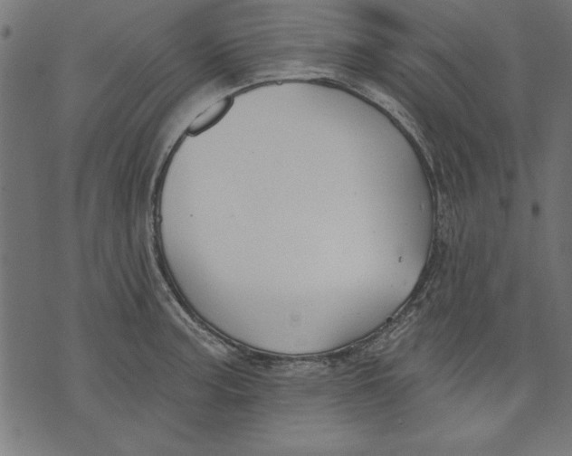 X0000073481187200608211617