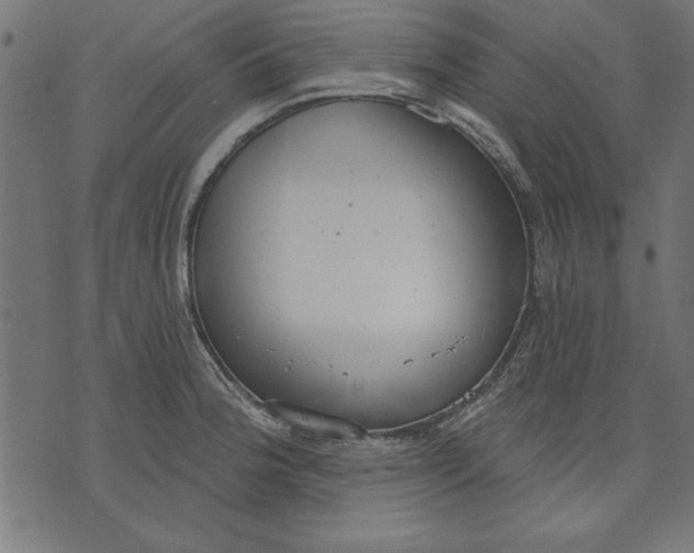 X0000073481188200608211617