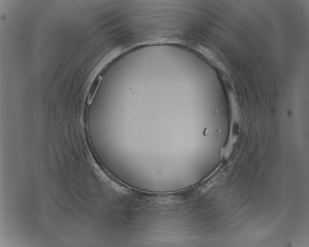 X0000073481189200608211617