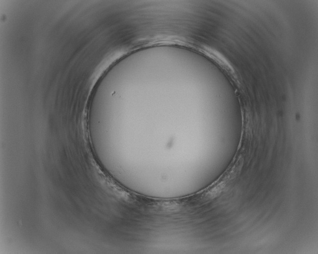 X0000073481190200608211617