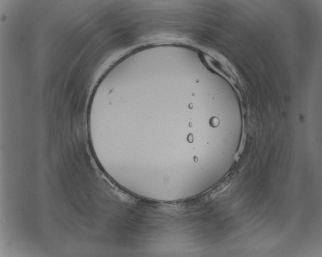 X0000073481191200608211617