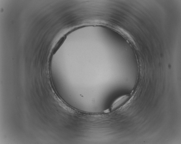 X0000073481192200608211617