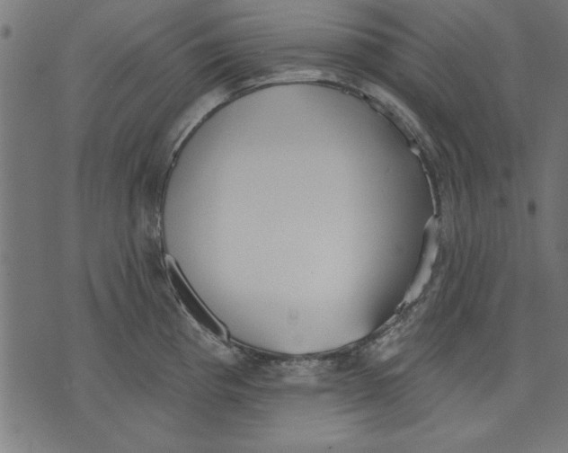 X0000073481193200608211617