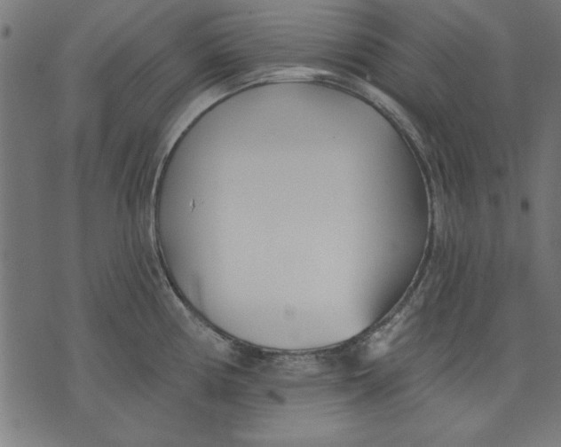 X0000073481194200608211617