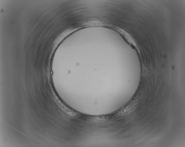 X0000073481195200608211617