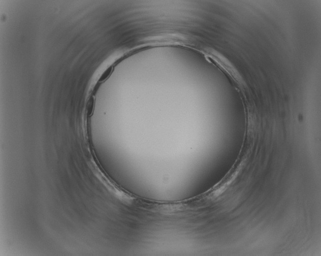 X0000073481196200608211617