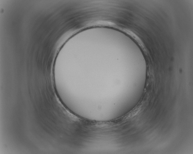 X0000073481199200608211617