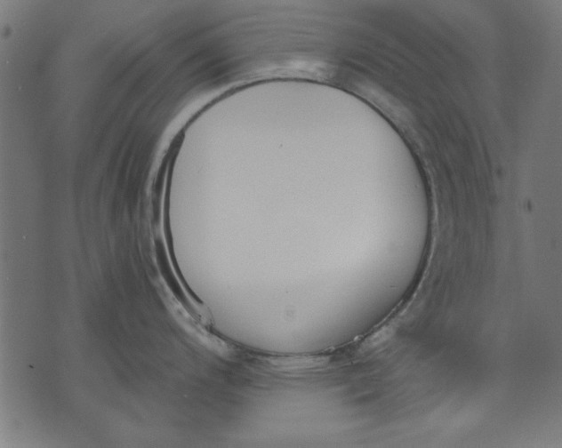 X0000073481200200608211617