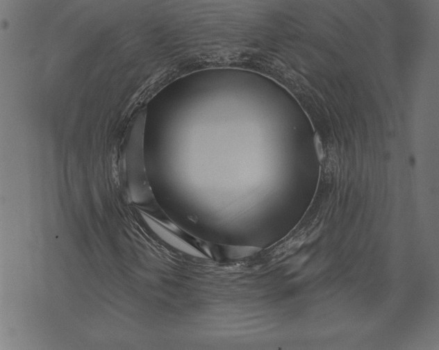 X0000073481202200608211616