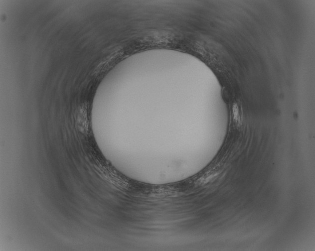 X0000073481203200608211616