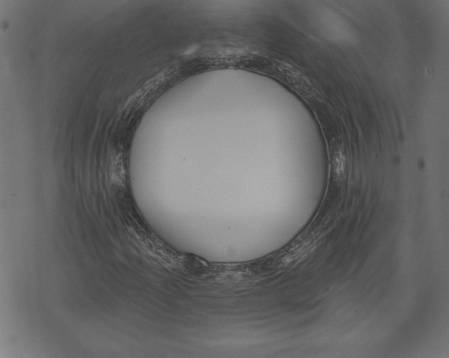 X0000073481204200608211616