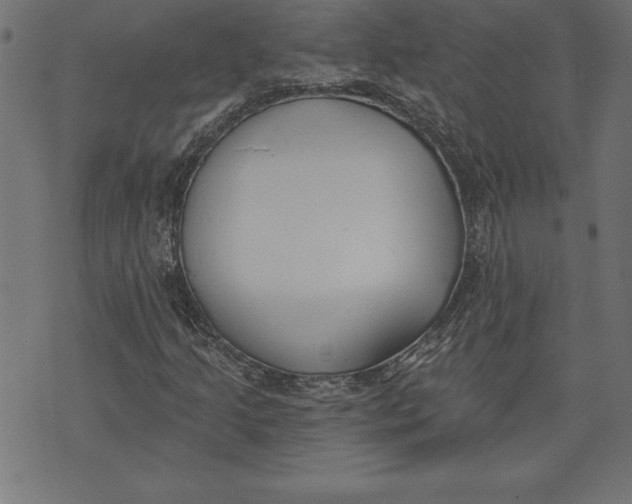 X0000073481205200608211616