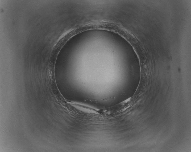 X0000073481206200608211616