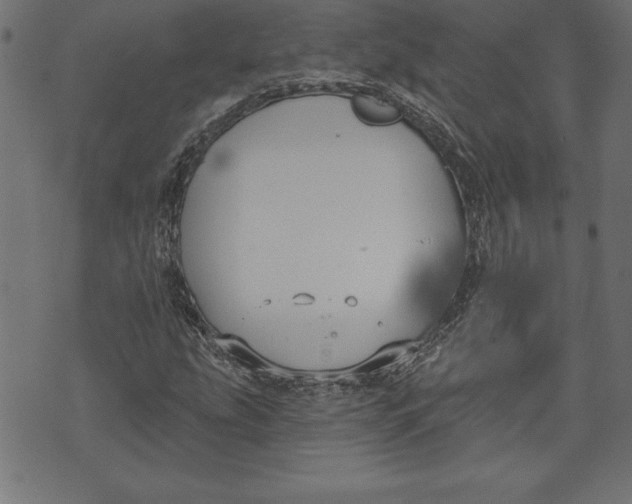 X0000073481207200608211616