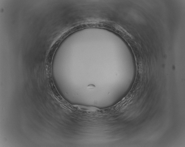 X0000073481208200608211616