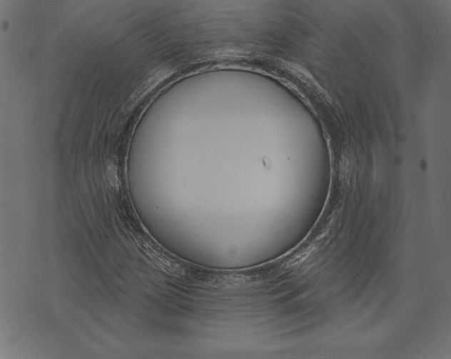 X0000073481209200608211616