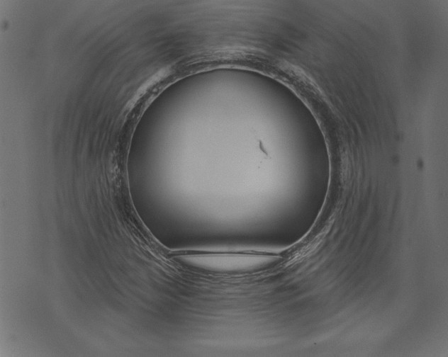 X0000073481210200608211616