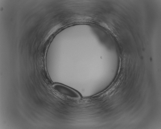 X0000073481211200608211616