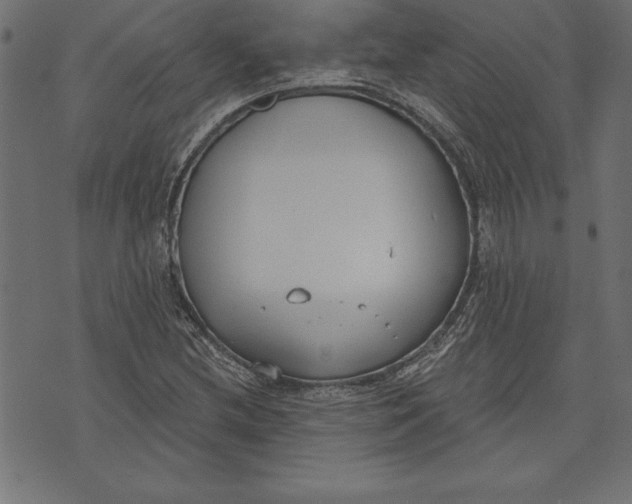 X0000073481212200608211616