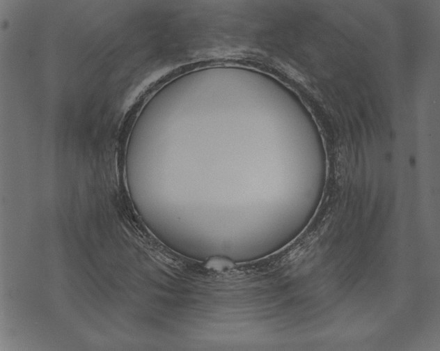 X0000073481214200608211616