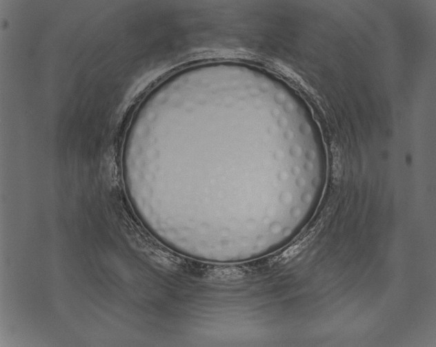 X0000073481215200608211616