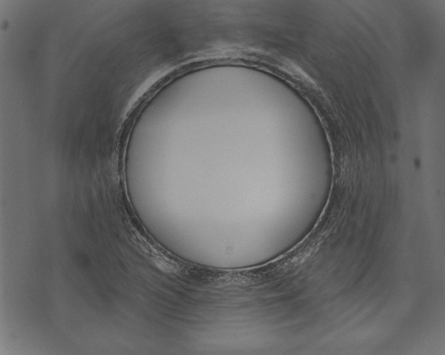 X0000073481216200608211616