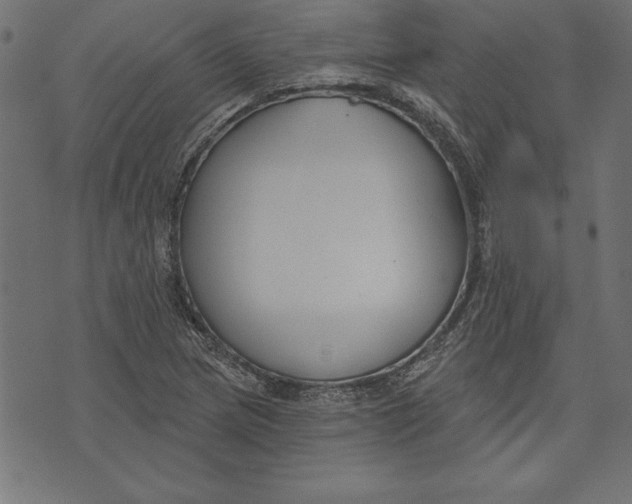 X0000073481217200608211616