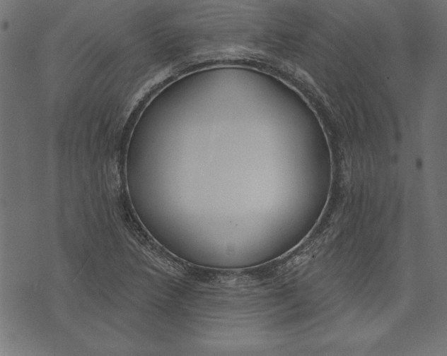 X0000073481218200608211616