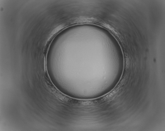 X0000073481219200608211616