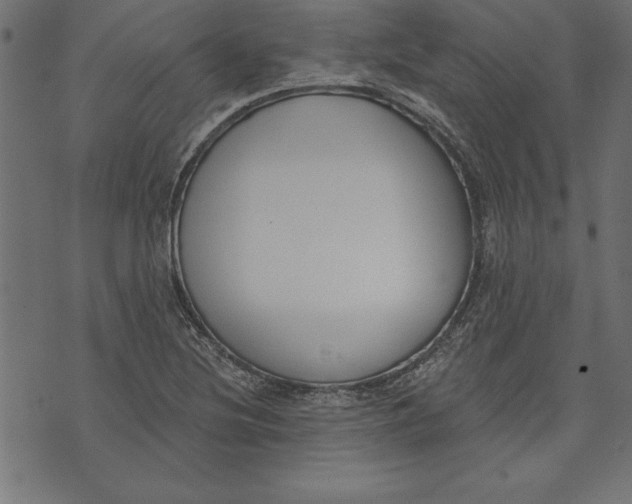 X0000073481220200608211616