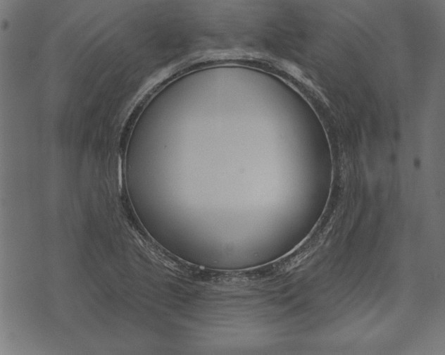 X0000073481221200608211616