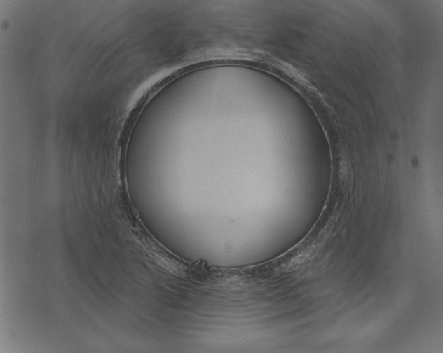 X0000073481222200608211616