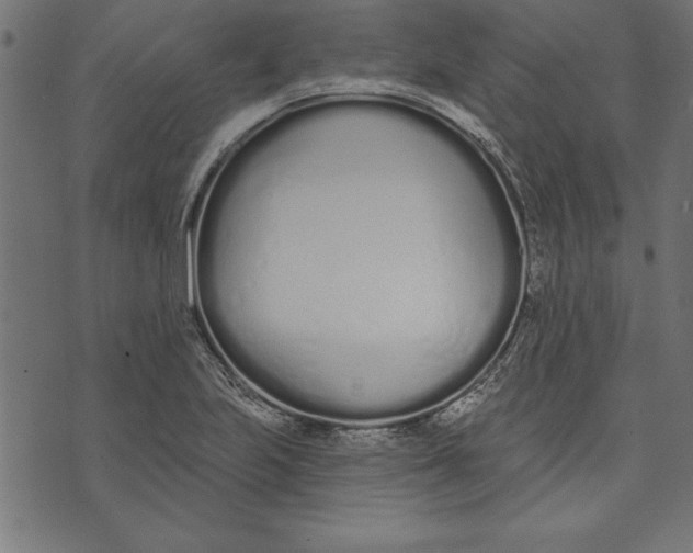 X0000073481223200608211616